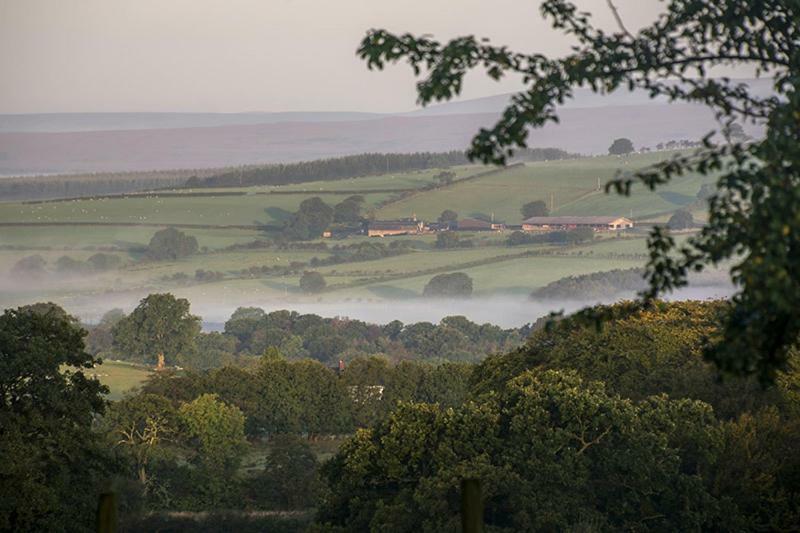 Bessiestown Country Guesthouse カーライル エクステリア 写真