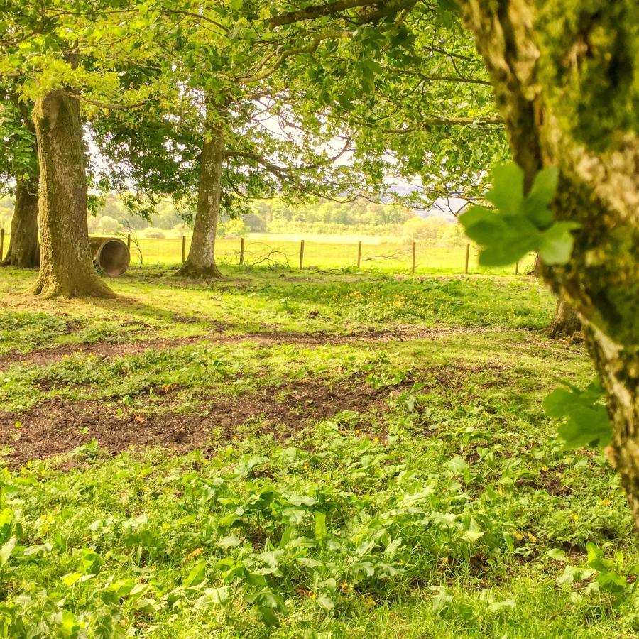 Bessiestown Country Guesthouse カーライル エクステリア 写真